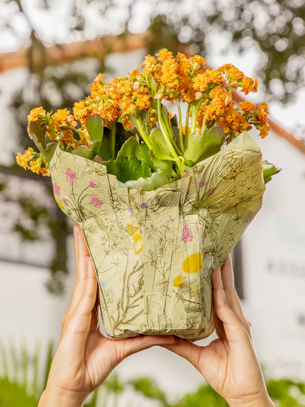 Botanical Kraft Pot Cover - Image 4