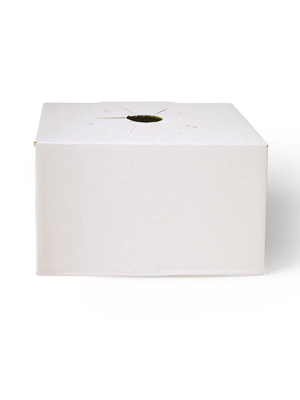 Jetwrap Extra Large Rose Vase Box #611XL - Image 5