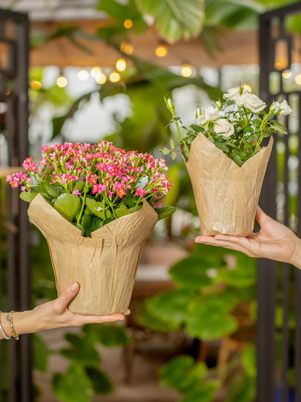 Natural Kraft Pot Cover - Image 4